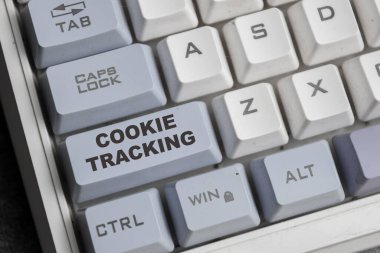 Kurabiye izleme konsepti. Kullanıcıda depolanan iş fikri verileri web sitesi tarafından ziyaret edilerek interbrowsing ve online araştırma çalışmasıyla bilgisayardır.
