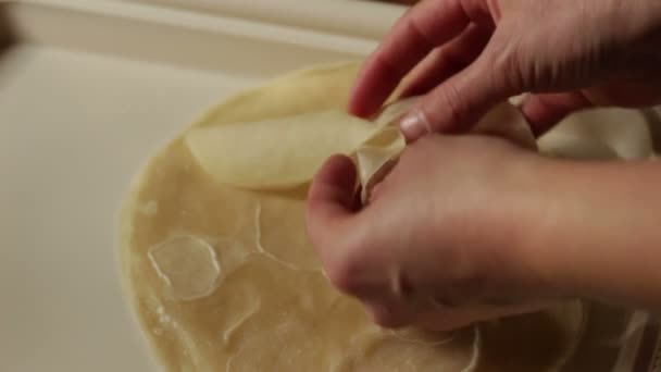 Yapımı Fillo Hamuru Klasik Börek Karides Rulosu Tabanı — Stok video