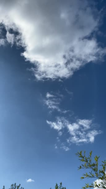 Powolne Przejście Białych Chmur Błękitnym Niebie Gałęzie Liście Bambusa — Wideo stockowe
