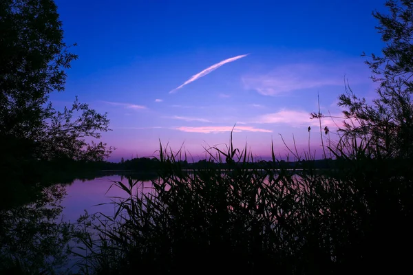 Ländliche Landschaft Morgengrauen Vor Einem See Silhouette Von Baum Und — Stockfoto