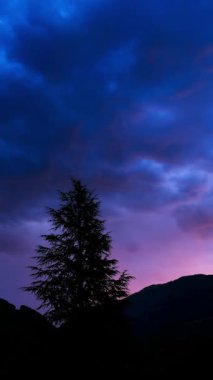 Renkli dramatik gökyüzü. Gün batımında ya da gündoğumunda kara bulutlar. Köknar ağacının silüetiyle.