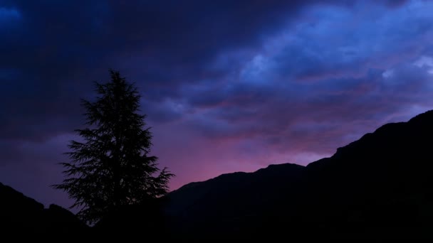 Colorful Dramatic Sky Dark Clouds Sunset Sunrise Silhouette Fir Tree — Stock Video
