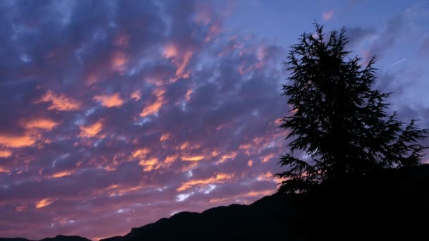 Sylwetka Jodły Dramatycznym Niebem Wschodzie Słońca Bardzo Zachmurzone Niebo Kolorowymi — Wideo stockowe