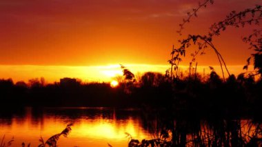 Gölün önündeki pampa otlarının silueti. Ufukta parlak güneş, arka planda bulanık.