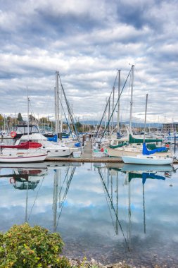 Sailing boats yachts at mooring line on Pacific ocean. Landscape of marine regatta floating in the harbor