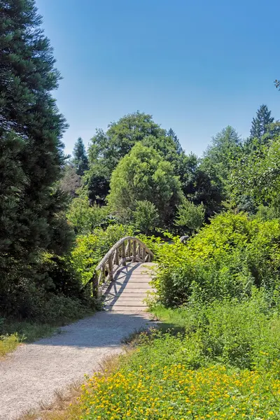 Путь Парк Деревянному Декоративному Мосту Через Ручей — стоковое фото