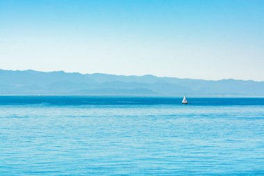 Pasifik Okyanusu Körfezi 'nde yelkenli yatı olan bir deniz manzarası..