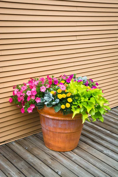 Stock image Colorful flowers in big earthenware jar on wooden siding background. Decorative flowers on wooden pavement of the street