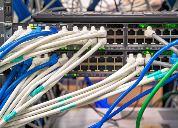 Kabel Ethernet Terhubung Peralatan Jaringan — Stok Foto