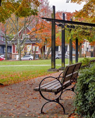 Kanada, Vancouver 'da sonbahar mevsiminde bir parkta ahşap ve metal bank.