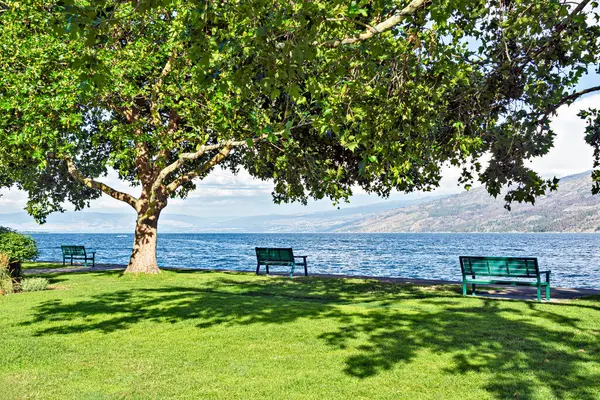 British Columbia 'daki Okanagan Gölü' nün kıyısındaki patika boyunca bir dinlenme parkı..