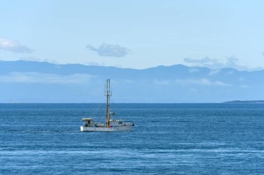 Small trawler is going to the fishing reid in Pacific ocean.