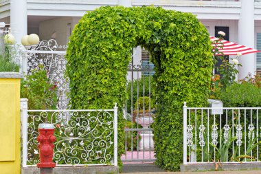 White Rock City 'deki ev önünde yeşil sarmaşık kemerli sahte çitler.