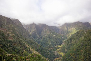 Madeira dağlarındaki sis..