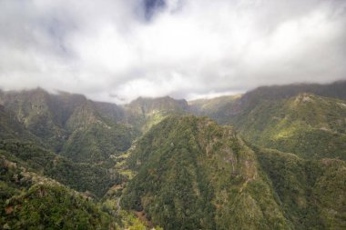 Madeira dağlarındaki sis..