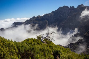 Pico Ruivo, Madeira 'da bir volkan..