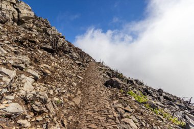 Pico Ruivo 'daki taş dağ yolu..