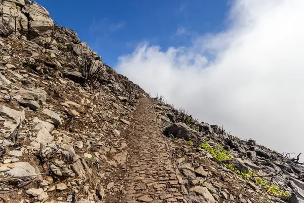 Pico Ruivo 'daki taş dağ yolu..