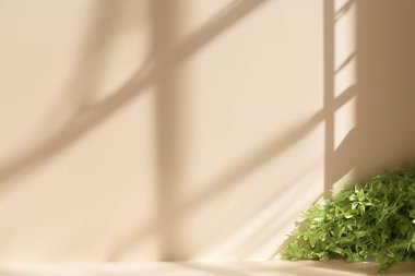 Köşesinde bitki yaprakları olan bir ev bitkisinin sunumu için soyut pastel bej stüdyo arka planı. Boş oda, pencerenin duvarında bir ışık var..