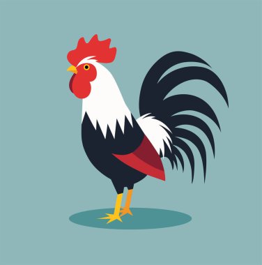 Penis düz vektör çizimi. Tavuk düz çizim. Minimalist modern biçim.