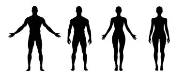 Erkek ve kadın vücut silueti. Vektör insan figürü taslağı. Erkek ve kadın önden görünüşü tam boy ayakta duruyor. Çıplak ve çıplak, zayıf sağlıklı insanlar..