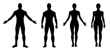 Erkek ve kadın vücut silueti. İnsan figürü taslağı. Erkek ve kadın önden görünüşü tam boy ayakta duruyor. Çıplak ve çıplak, zayıf sağlıklı insanlar..