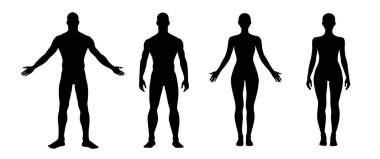 Erkek ve kadın vücut silueti. Vektör insan figürü taslağı. Erkek ve kadın önden görünüşü tam boy ayakta duruyor. Çıplak ve çıplak, zayıf sağlıklı insanlar..