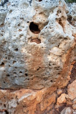 Doğal kaya duvarı, kahverengi, turuncu, gri renkler..