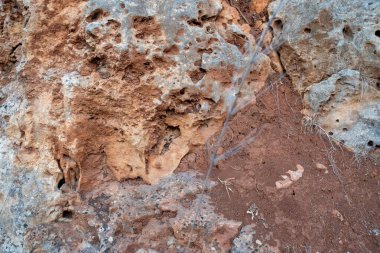 Doğal kaya duvarı, kahverengi, turuncu, gri renkler..