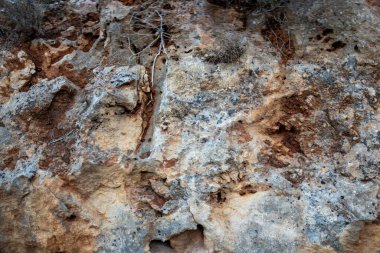 Doğal kaya duvarı, kahverengi, turuncu, gri renkler..
