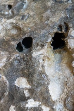Delikli bir kaya duvarının desenleri ve dokuları