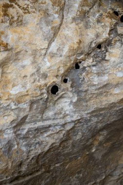 Delikli bir kaya duvarının desenleri ve dokuları