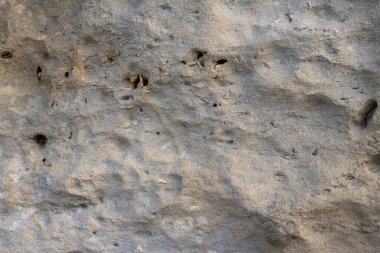 Delikli bir kaya duvarının desenleri ve dokuları