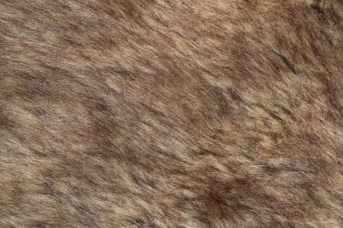 Kahverengi hayvan kürkü, dokulu arka plan
