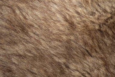 Kahverengi hayvan kürkü, dokulu arka plan