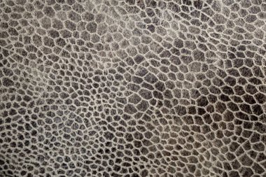 Sürüngen derisi taklidi, desenli arkaplan