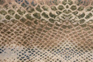 Sürüngen derisi taklidi, desenli arkaplan