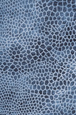 Renkli sürüngen derisi taklidi, desenli arkaplan