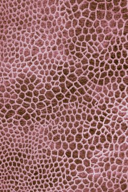 Renkli sürüngen derisi taklidi, desenli arkaplan