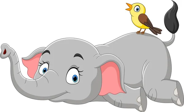 Vektor Illusztrációja Aranyos Elefánt Rajzfilm Feküdt Madár — Stock Vector