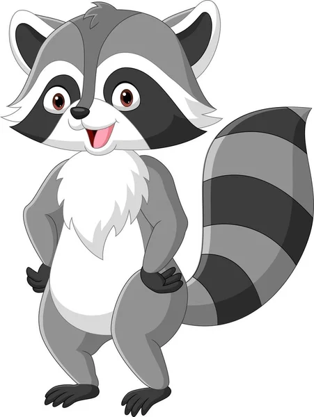 Wektor Ilustracji Cute Raccoon Cartoon Białym Tle — Wektor stockowy