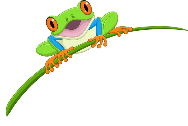 Vector Illustration Cartoon Happy Frog Leaf — Stock Vector