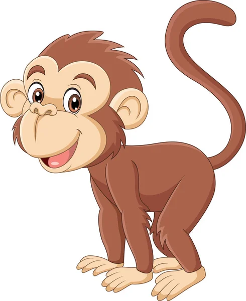 Ilustração Vetorial Desenhos Animados Macaco Pequeno Bonito Fundo Branco —  Vetores de Stock