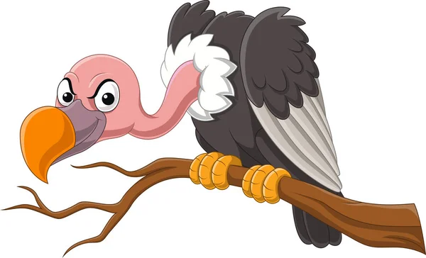 Ilustração Vetorial Abutre Dos Desenhos Animados Pássaro Galho Árvore —  Vetores de Stock