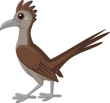 Vector illustration of Cartoon roadrunner bird on white background clipart