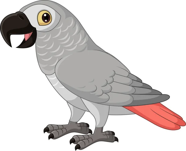 Wektor Ilustracja Kreskówki Kongo Grey Papuga Białym Tle — Wektor stockowy