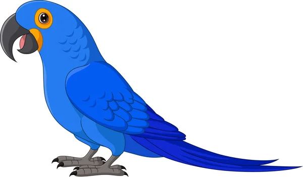 Illustrazione Vettoriale Cartoon Hyacinth Macaw Sfondo Bianco — Vettoriale Stock