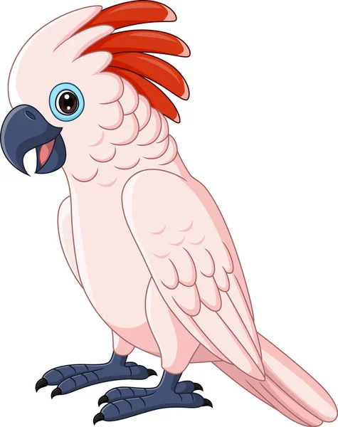 Vector Illustration Cartoon Moluccan Cockatoo Parrot White Background — Stock Vector