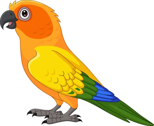Vektor Illustration Von Cartoon Sun Conure Papagei Auf Weißem Hintergrund — Stockvektor