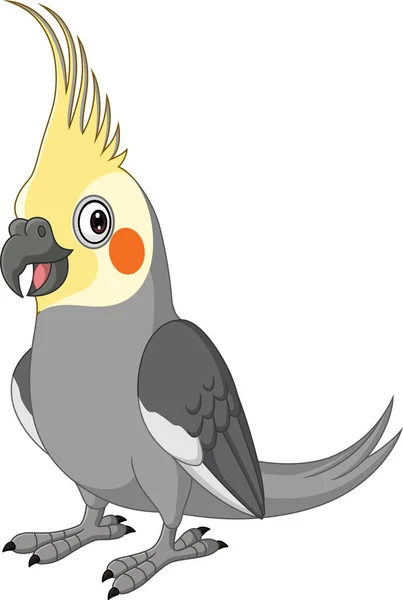 Ilustración Vectorial Cartoon Grey Cockatiel Sobre Fondo Blanco — Archivo Imágenes Vectoriales